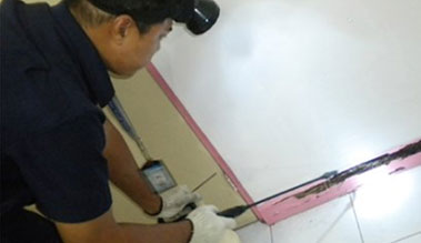 Rodent Control / Mice Control